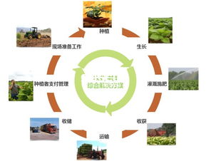 生态农业是什么 生态农业有哪几种经营模式
